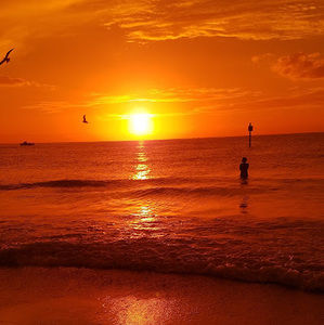 Meet your Posher, Esha